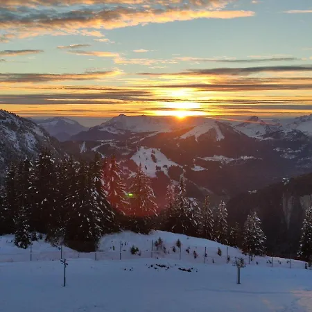 Apartamento Avoriaz: Renove 4 Pers, Proche Pistes, Wifi, Casier A Skis - Fr-1-633-32 *