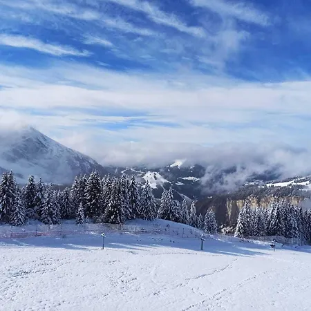 Apartamento Avoriaz: Renove 4 Pers, Proche Pistes, Wifi, Casier A Skis - Fr-1-633-32 *